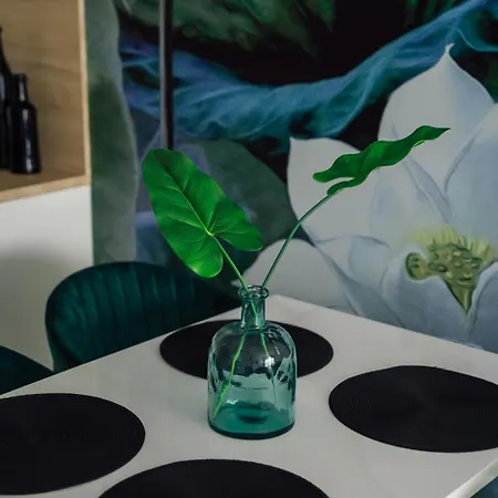 Chilliapartamenty - Kasprowicza- Kama